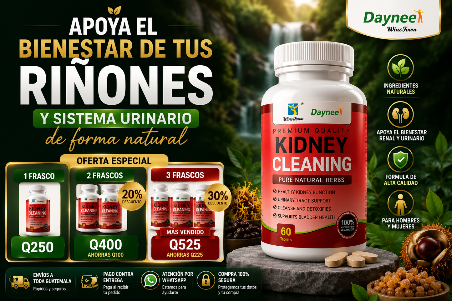 RIÑONES SANOS
